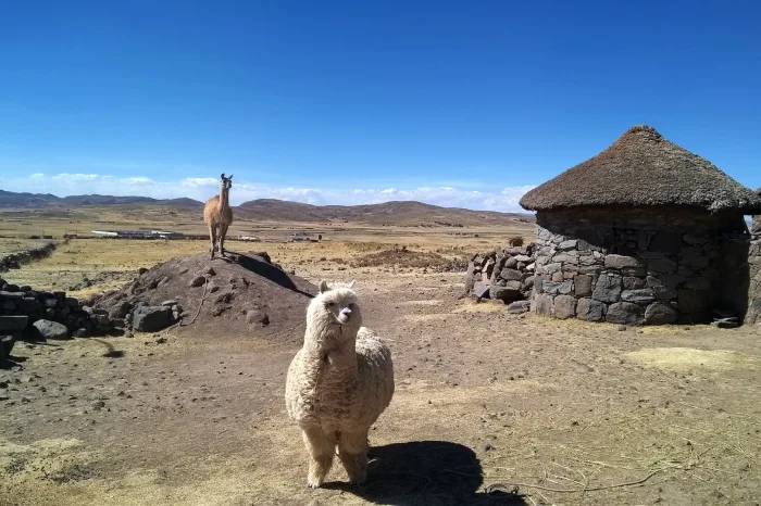 Sillustani