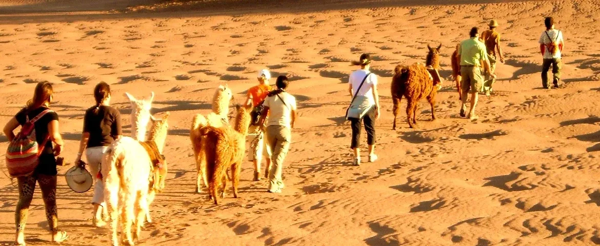 atacama wueste chile banner