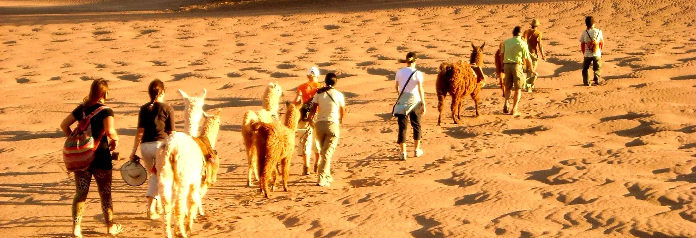 atacama wueste chile banner