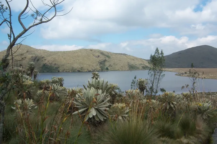 el angel lagune