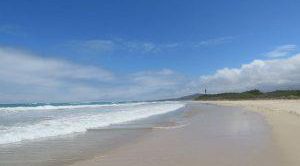 weißer Sandstrand der Galapagos Insel Isabela