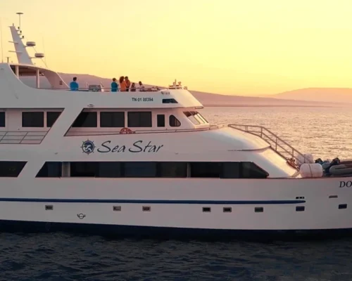 Galapagos Yacht Sea Star Journey