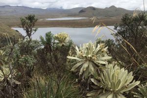 Lagunen im Nationalpark El Angel