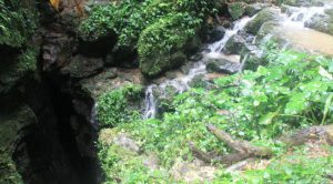 Eingang Cuevas de los Tayos