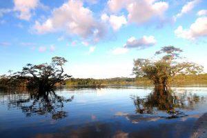 Lagune im Cuyabeno Reserat Ecuador