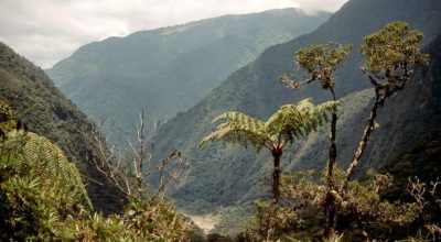 Nationalpark Rio Abiseo Peru