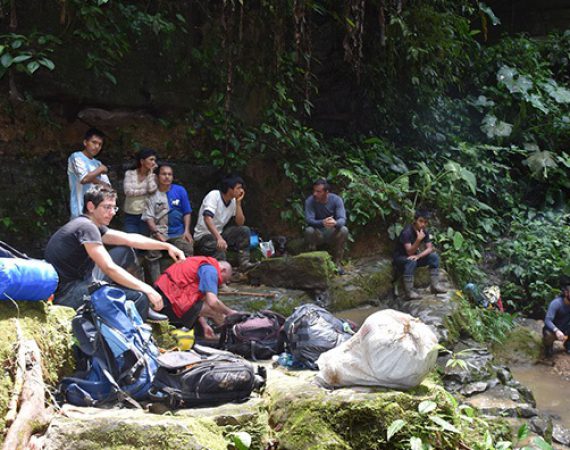 Wald-Cueva-de-los-tayos Wald Cueva de los Tayos