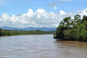 Der Amazonas Regenwald in Peru eignen sich hervorragend für spannende Flusskreuzfahrten