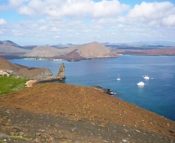 Insel Bartolome Galapagos