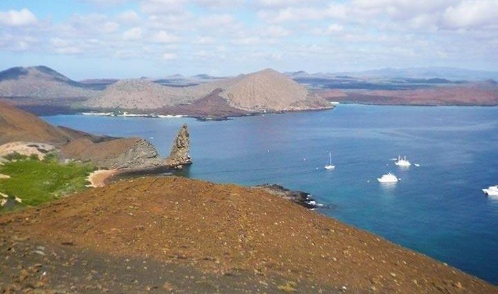 Insel Bartolome Galapagos