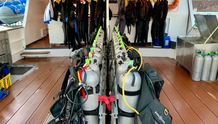 diving yacht aggressor galapagos