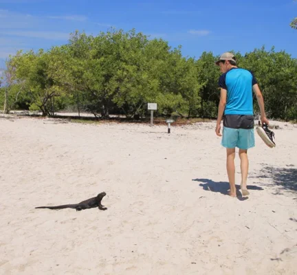 galapagos inselhopping - tortuga Bay - Santa Cruz