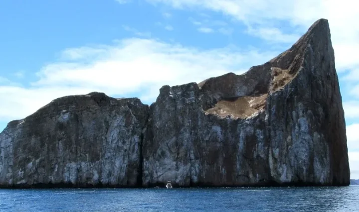 kicker rock galapagos banner kicker rock galapagos banner