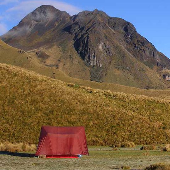 Llama Trek Ecuador