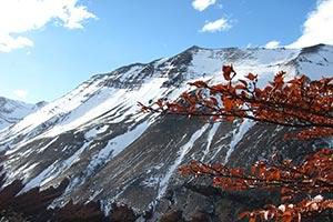 Patagonien Chile