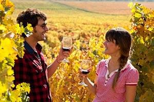 Reise durch Chiles Weinanbauregion