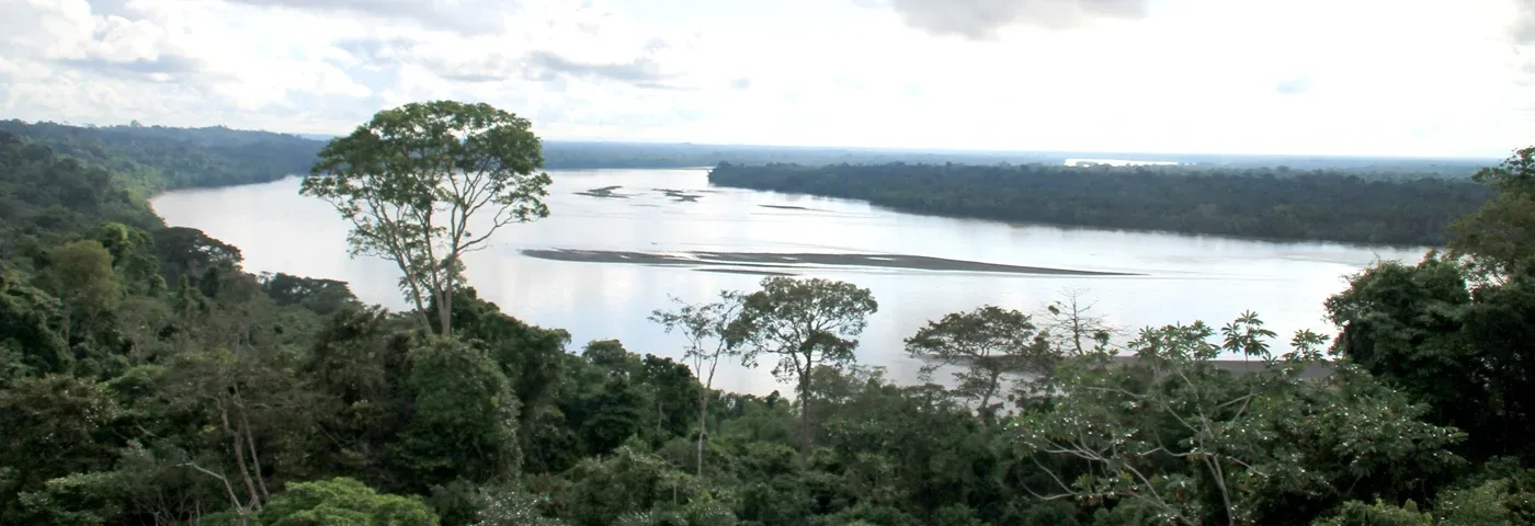 la selva flusslandschaft ecuador banner