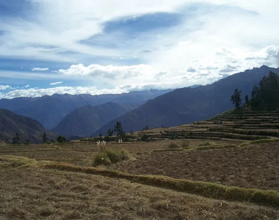 Landschaft in der Umgebung des Colca Canyons