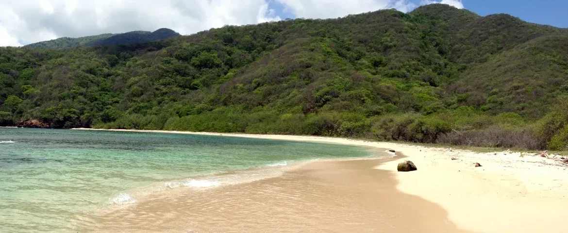 strand tayrona banner