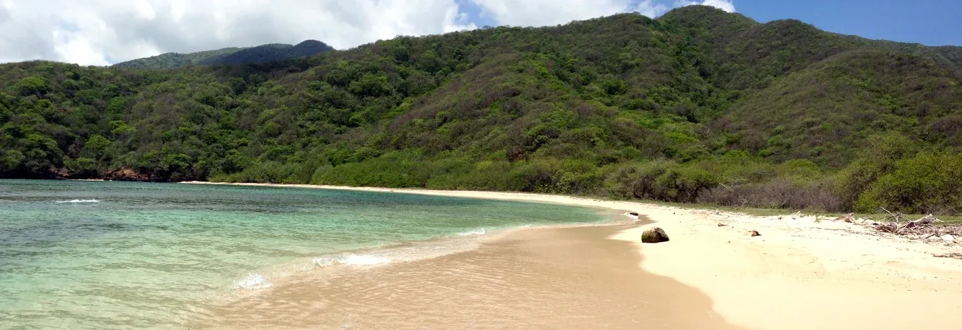 strand tayrona banner