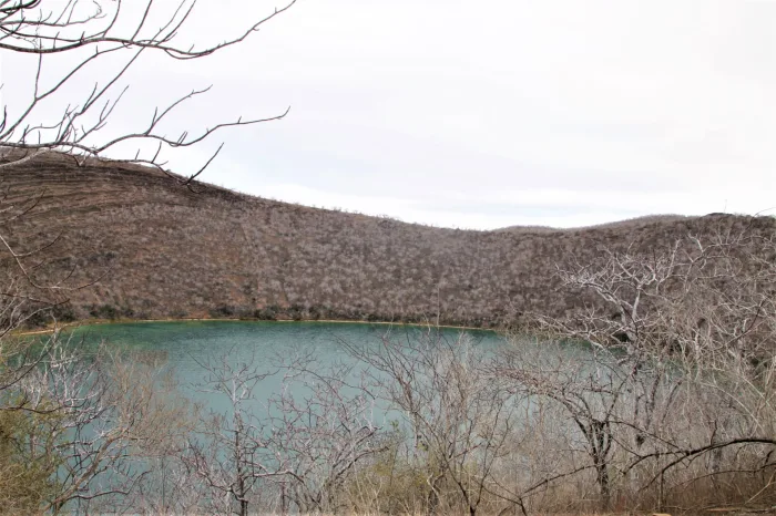 tagus cove galapagos