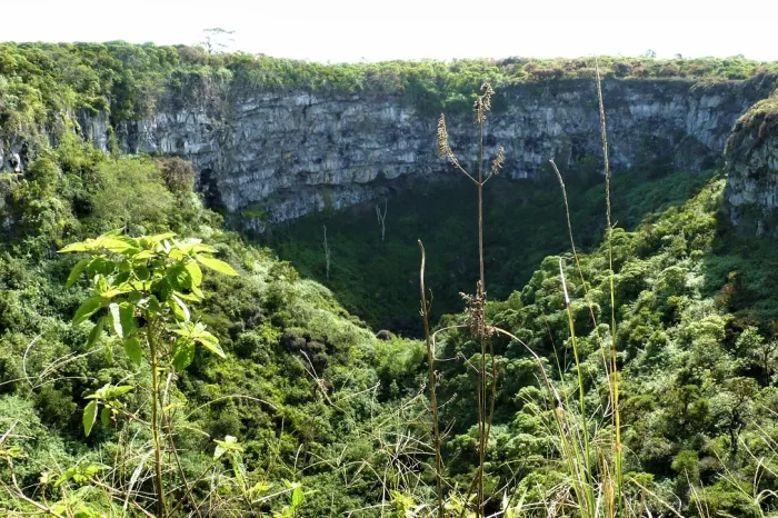 twin craters santa cruz
