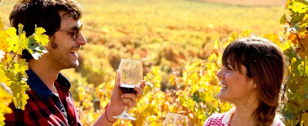 wein rundreise chile banner
